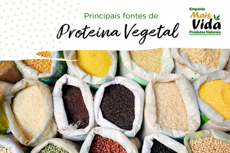 Vegetais ricos em proteínas