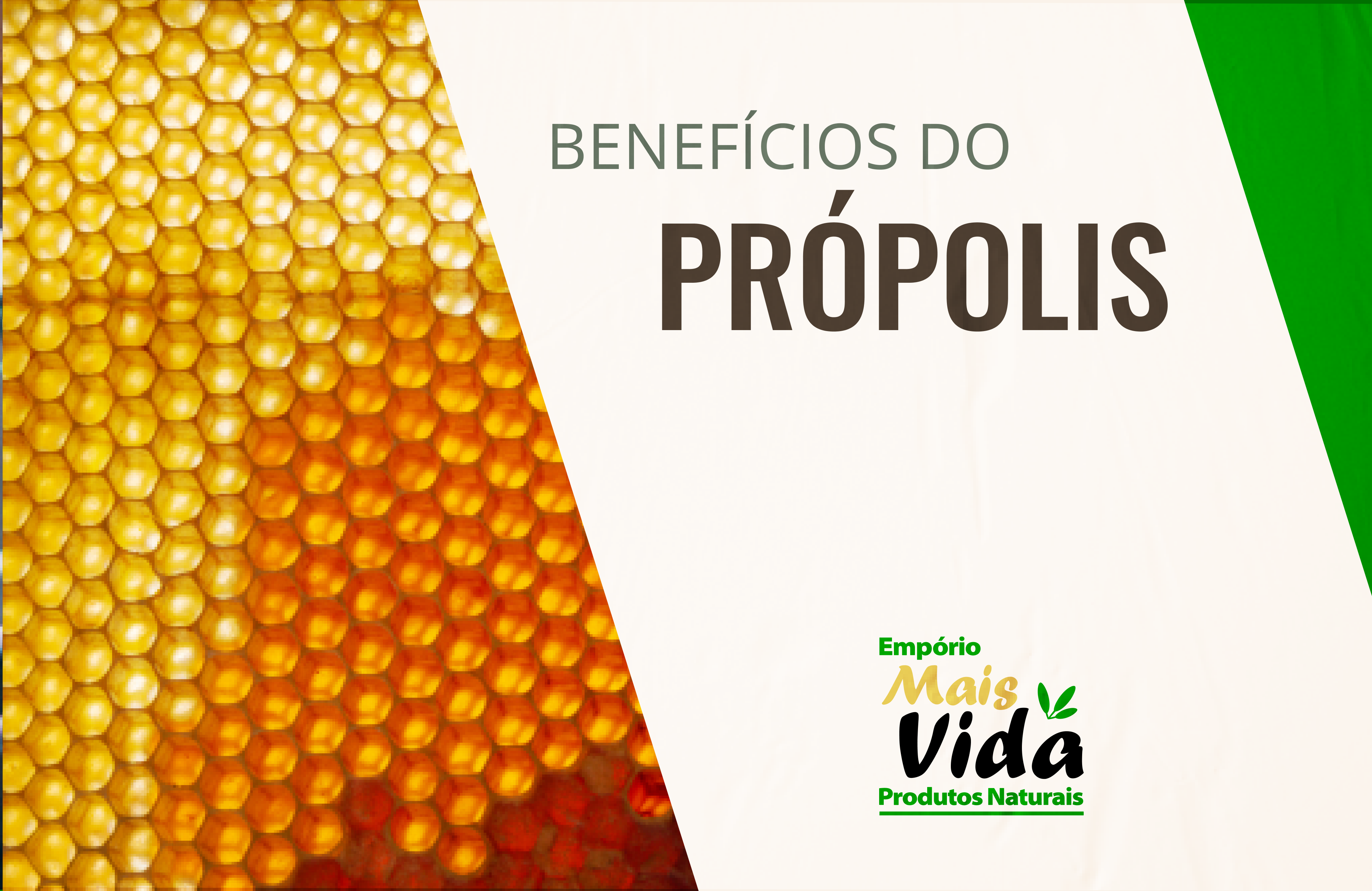 Própolis – Conheça os benefícios!